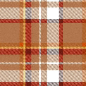 Asymmetrical Speckled Tan Rust Yellow and White Plaid