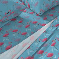 Pink flamingo party time 3370861C-C030-49FA-B297-25B7BCEEB7A6