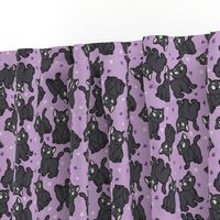 Cute Black Cats on Purple