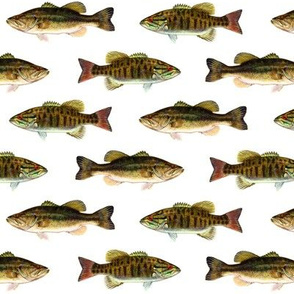 Largemouth Bass Fabric, Wallpaper and Home Decor
