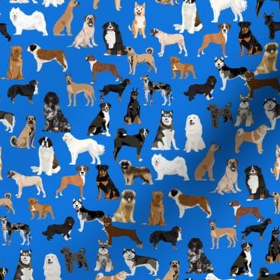 working dogs fabric - working dogs group fabric, dog fabric, dogs fabric, working dogs design  -  royal