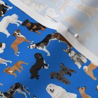 working dogs fabric - working dogs group fabric, dog fabric, dogs fabric, working dogs design  -  royal