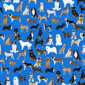 working dogs fabric - working dogs group fabric, dog fabric, dogs fabric, working dogs design  -  royal