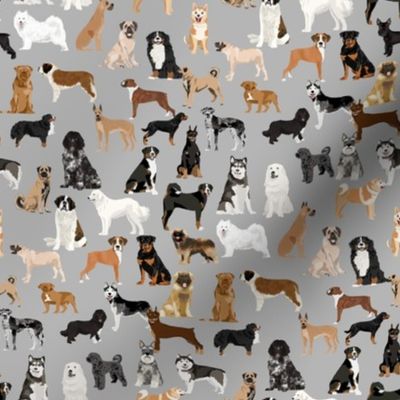 working dogs fabric - working dogs group fabric, dog fabric, dogs fabric, working dogs design  - grey