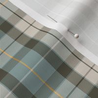 Fraser hunting tartan, 6", custom colors #2