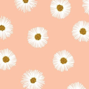 daisies - peach