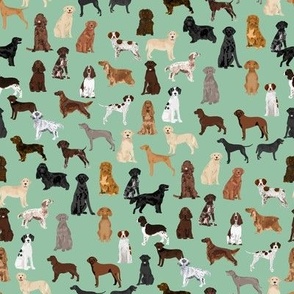 sporting dogs fabric - dog breeds fabric, sporting group fabric, dog breeds, dog, dogs - mint