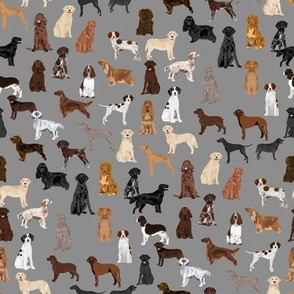 sporting dogs fabric - dog breeds fabric, sporting group fabric, dog breeds, dog, dogs - grey