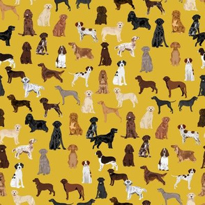 sporting dogs fabric - dog breeds fabric, sporting group fabric, dog breeds, dog, dogs - mustard