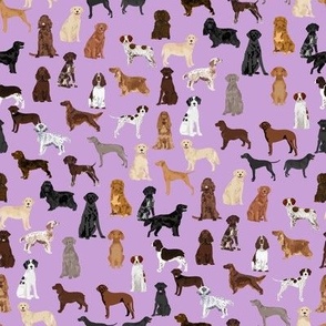 sporting dogs fabric - dog breeds fabric, sporting group fabric, dog breeds, dog, dogs - purple