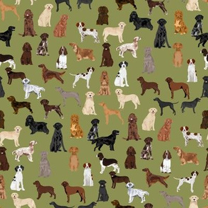 sporting dogs fabric - dog breeds fabric, sporting group fabric, dog breeds, dog, dogs - green
