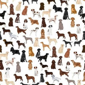 sporting dogs fabric - dog breeds fabric, sporting group fabric, dog breeds, dog, dogs - white