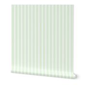 Trendy Large Spearmint Mint Pastel Green French Mattress Ticking Double Stripes