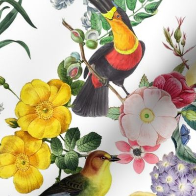 18" Vintage Toucan Bird Spring Flowers Midnight  Garden Jungle white