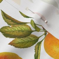 18" Vintage Apples Fruit Pattern White