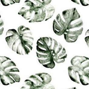 Monstera_Muted_SmallScale