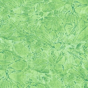 serene green moss