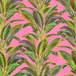 Pink Banana Leaf Wallpaper with Rainbow Accents