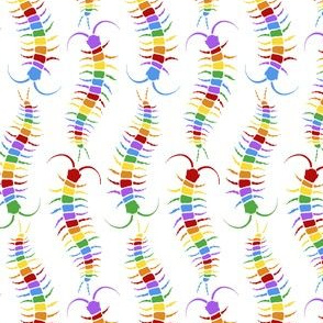 Rainbow Centipede 