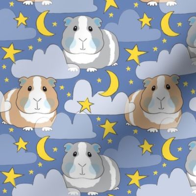 starry night guinea pigs