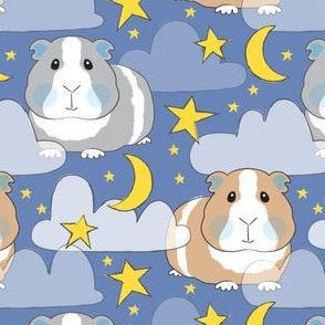 starry night guinea pigs