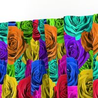 Rainbow Roses #1