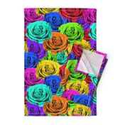 Rainbow Roses #1