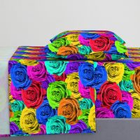 Rainbow Roses #1