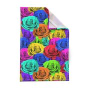 Rainbow Roses #1