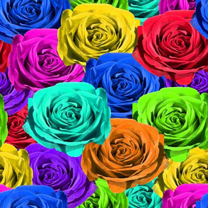 Rainbow Roses #1