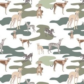 Greyhound Camo