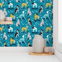 Small scale // Greyhounds dogwalk // turquoise background