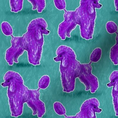 Custom Purple Poodles on Teal