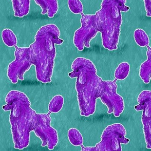 Custom Purple Poodles on Teal