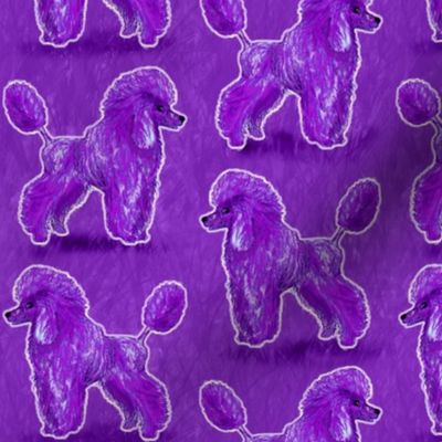 Custom Purple Poodles on Purple