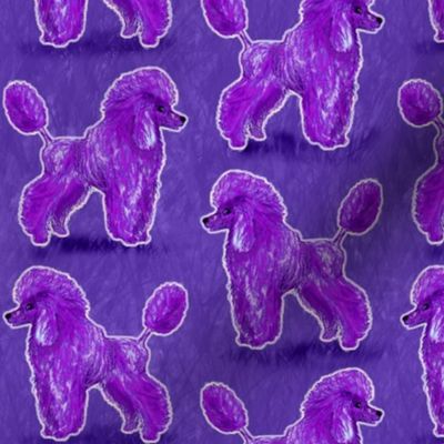 Custom Purple Poodles on Blue Violet