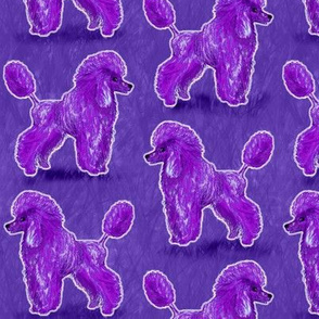 Custom Purple Poodles on Blue Violet