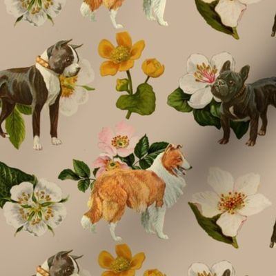 Vintage Dogs with Flowers