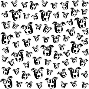 Pit Bull Dog black and white fabrics