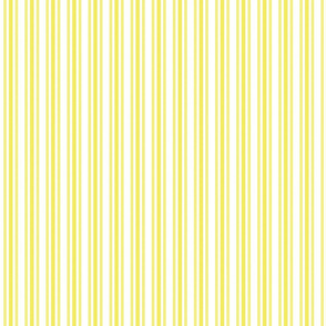 Trendy Large Highlighter Yellow Pastel Highlighter French Mattress Ticking Double Stripes