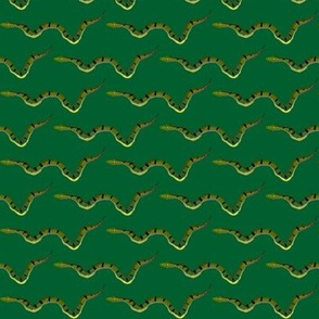 Anaconda on dark green