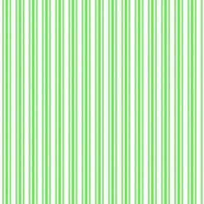 Trendy Large Lime Margarita Green French Mattress Ticking Double Stripes