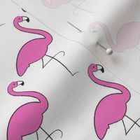 repeating flamingos on white