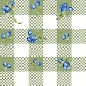 Midsummer Grid with blueberries 