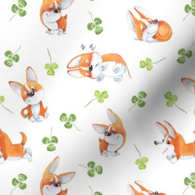 7" Cute Corgi and Shamrock - Luck irish