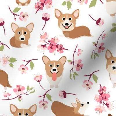 9'" Corgi in spring florals fabric, cherry blossom sakura in asia, white