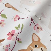 9'" Corgi in spring florals fabric, cherry blossom sakura in asia, white