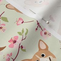 9" Corgi in spring florals fabric, cherry blossom sakura in asia , green