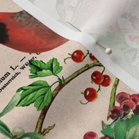 Cardinal Vintage Botanical Christmas Pattern