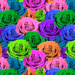 Rainbow Roses #2